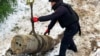 У Повітряних силах ЗСУ показали оператора Patriot, який вперше у світі збив «Кинджал» над Києвом (відео)