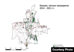 Бул картада 2014-2021-жылдардагы Бишкектеги жашыл аймак көрсөтүлгөн. Жашыл түс менен бак-дарактар, кызыл түс менен кыйылган бак-дарактар, ал эми көк түс менен жаңы тигилген бак-дарактар көрсөтүлгөн.