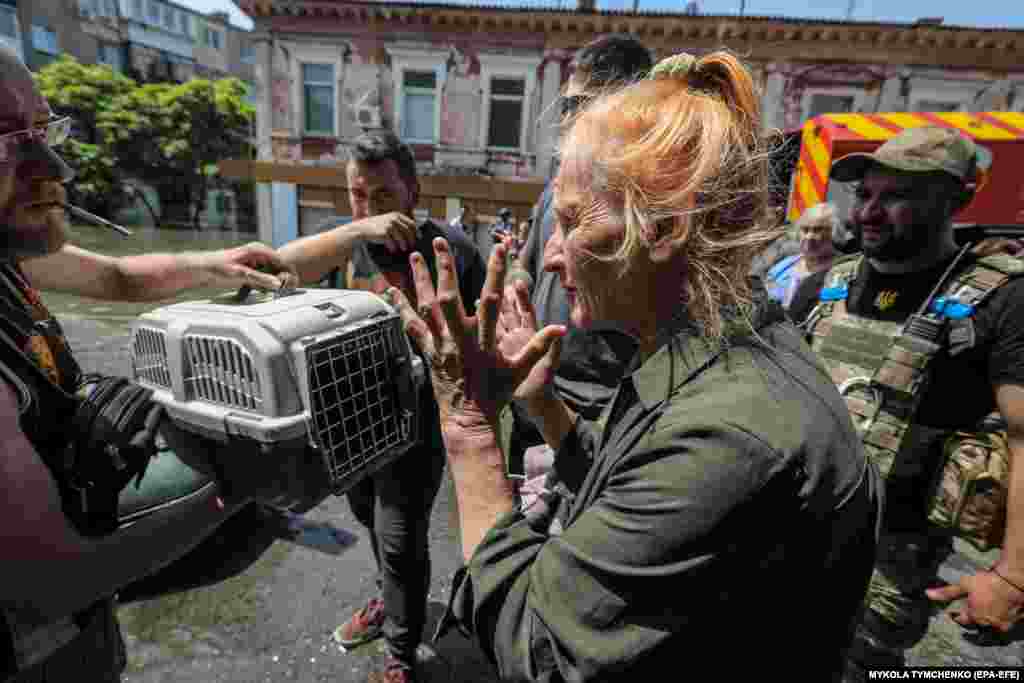 Женщина наблюдает, как волонтеры вытаскивают ее животных из лодки 
