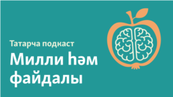 Кадаклы тактага басу: файдамы, модамы? 