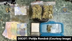 Canabis, bani și telefoane găsite într-o razie a procurorilor DIICOT și Poliției Române.