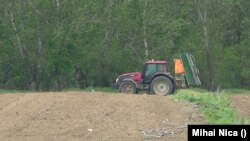 Guvernul a decis creșterea salariilor minime brute din agricultură. 