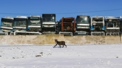 «Кладбище автобусов» в пригороде Алматы. Январь 2024 года