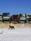 «Кладбище автобусов» в пригороде Алматы. Январь 2024 года