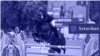 Sztoriban cover – Hungarian Equestrian Federation