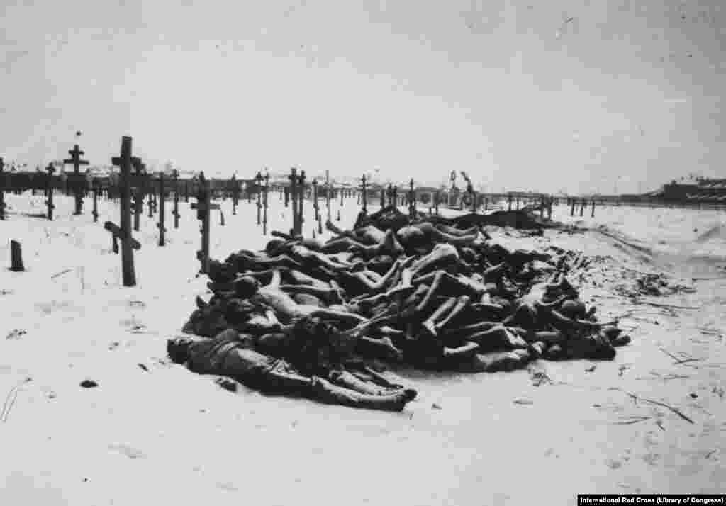 Жертвы голода. Тела сложены у кладбища в Самаре, 1921 год. На востоке России в то время все еще царил хаос, так что организованная доставка помощи была невозможна. Голод добавил еще миллионы жертв к жертвам Первой мировой и Гражданской войн (фото из архивов Международного Красного Креста)