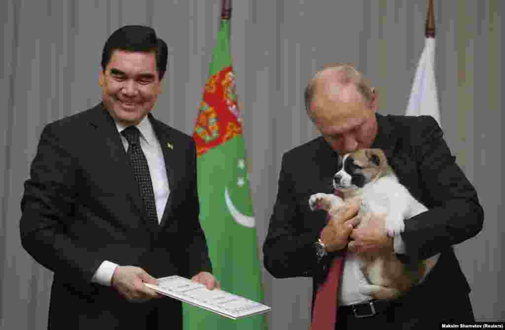 2012-nji ýylda Ýaponiýanyň Akita prefekturasynyň ýa-da adasynyň ýolbaşçysy Putine “Ýuma”, ýagny “Arzuw” lakamly iti sowgat berdi.