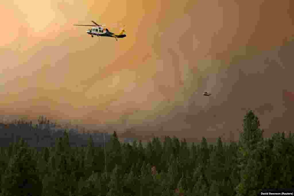 Helikopterët e Shërbimit Pyjor të Shteteve të Bashkuara duke u angazhuar për frenimin e përhapjes së zjarrit "Dixie", në Kaliforni. (31 korrik)
