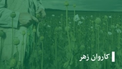 سازمان صحی جهان از گسترش اعتیاد در میان زنان در افغانستان خبر می‌دهد