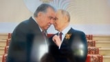 Пеш аз шурӯи паради ҳарбӣ президенти Русия Владимир Путин меҳмонҳояшро аз кишварҳои хориҷӣ истиқбол кард ва чанд лаҳза ба гӯши раҳбари Тоҷикистон Эмомалӣ Раҳмон чизе гуфт