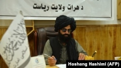 په هرات ولایت کې د طالبانو د یوه چارواکي مخکینی انځور- عکس ارشیف