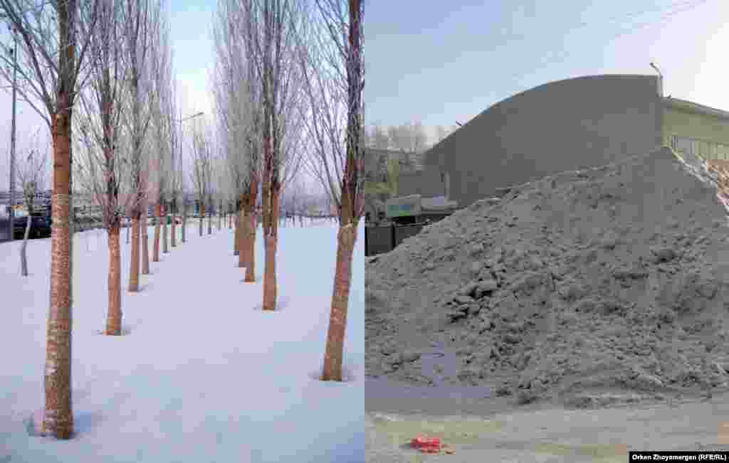 Ерекше күтімдегі ағаштар мен қала сыртына шығарылмай қалған қар. 
