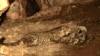 16x9 Image