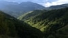 Pădurile de la poalele Pietrei Craiului au scăpat deocamdată de drujbe
