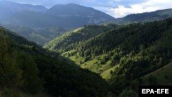 Pădurile de la poalele Pietrei Craiului au scăpat deocamdată de drujbe