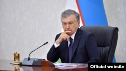Янги тузилган агентликнинг бевосита президент Шавкат Мирзиёевга бўйсуниши айтилмоқда.
