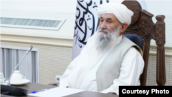  ملا محمد حسن آخند، رئیس‌الوزرای حکومت طالبان