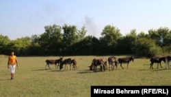 Foto: Mirsad Behram