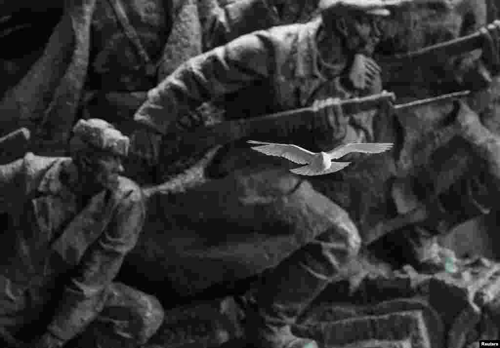 Golub leti ispred bareljefa iz sovjetskog doba u Nacionalnom muzeju historije Ukrajine u Drugom svjetskom ratu.