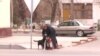 После сообщения Азатлыка в Ашхабаде начали составлять списки животных, принадлежащих отъезжающим в Россию гражданам