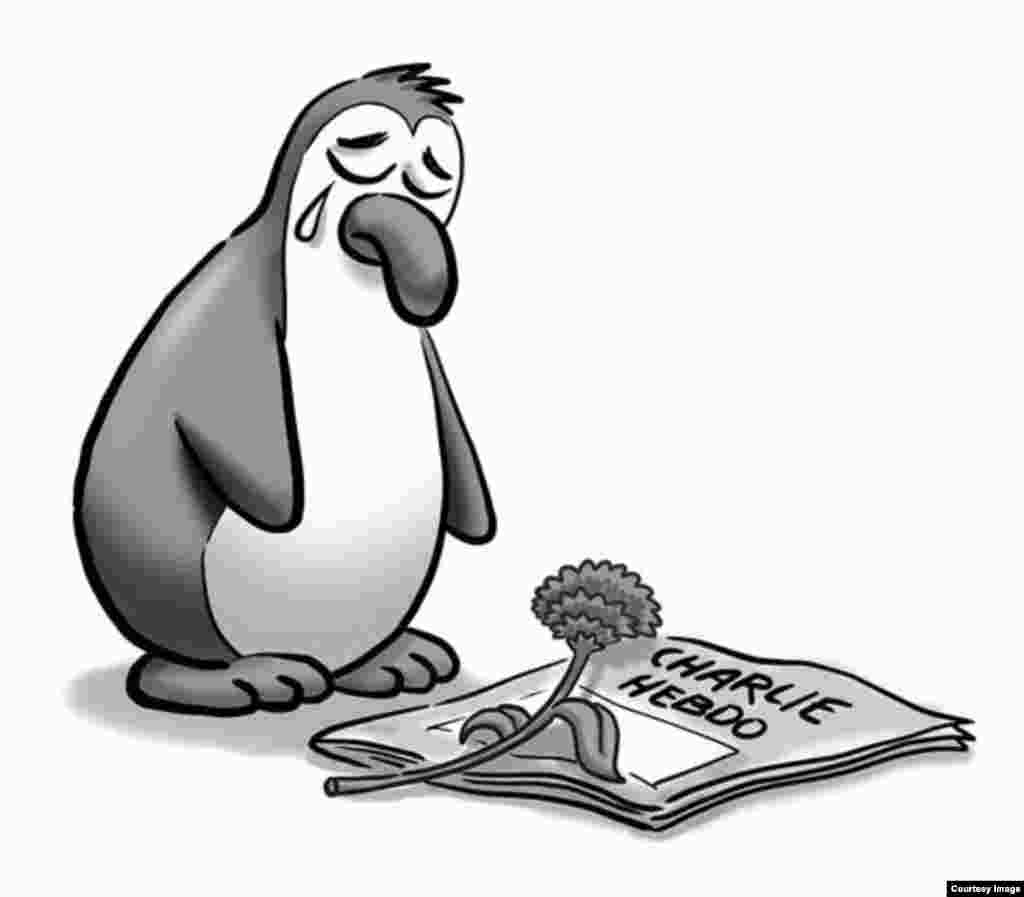 Төркиядән Penguen басмасы рәсеме