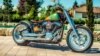 Oslikani Harley